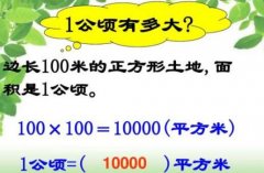 一公頃等于多少平方千米？一平方千米等于幾公頃及一公頃等