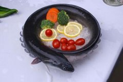 鰻鱺多少錢一斤？野生鰻魚價格多少及養(yǎng)鰻魚賺錢嗎？