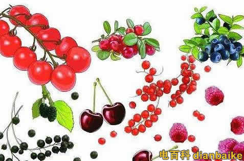 花青素能去斑嗎？花青素的功效與作用和禁忌及花青素含量高的食物