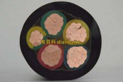 橡塑和橡套電纜那種在戶外用好一些？橡套電纜和橡塑電纜的