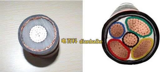 單芯和多芯電纜