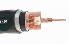 WDZYJFE型號的電纜是什么電纜？WDZYJFE型號含義和特性
