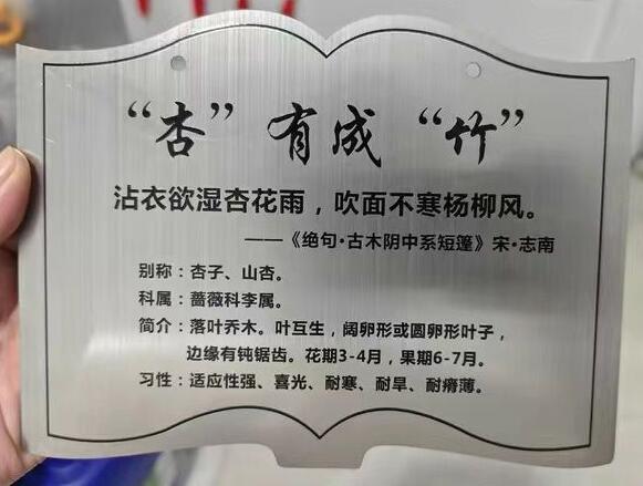 愛護(hù)樹木的標(biāo)牌效果圖